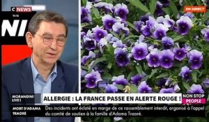 La quasi-totalité du territoire français placée en alerte rouge, en risque « très élevé » d’allergie liée au pollen - L'allergologue Pascal Bousiquier dans "Morandini Live" sur CNews
