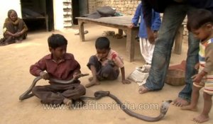 Ces enfants indiens jouent avec des serpents comme si c'était des petits chats