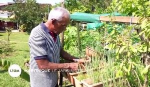 Martinique : Le jardin créole