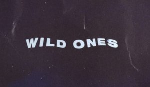 Jonathan Traylor - For The Wild Ones (Lyric Video)
