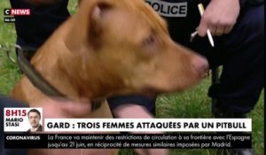 Gard : trois femmes attaquées par un pitbull