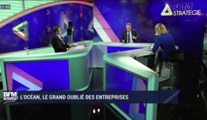 BFM Stratégie (Cours n°95): L'océan, le grand oublié des entreprises - 13/06