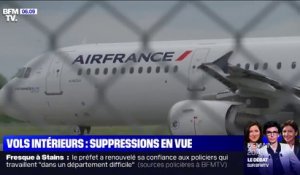 Air France: la suppression de certains vols intérieurs ne convient ni aux syndicats, ni aux défenseurs de l’environnement