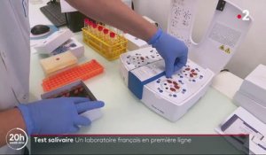 Coronavirus : un laboratoire français propose un dépistage inédit