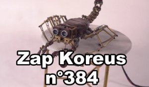 Zap Koreus n°384