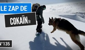 Le Zap de Cokaïn.fr n°135