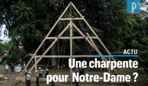 Notre-Dame de Paris : pourquoi la charpente doit renaître en bois et à l'identique (selon ces charpentiers)