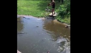 Cette femme et son fils s'amusent dans l'enclos des alligators