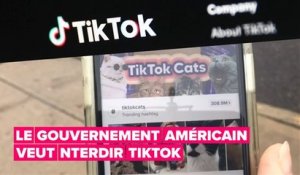 Pourquoi le gouvernement américain veut interdire TikTok ?