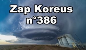 Zap Koreus n°386