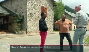 Ariège : face à la présence d'ours, les randonnées interdites à Ustou