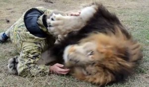 Moment tendresse entre un lion et son soigneur