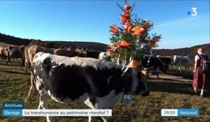 Vosges : des éleveurs perpétuent la transhumance