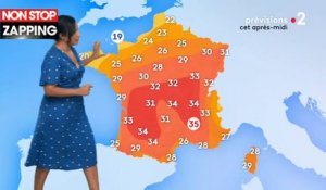 Anaïs Baydemir maman : elle parle de sa "petite tornade" pendant la météo de France 2 ! (Vidéo)