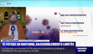 15 foyers épidémiques ont été identifiés en Mayenne