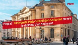 Plagiat : l'université Paris-1-Panthéon-Sorbonne annule le diplôme d'un doctorant
