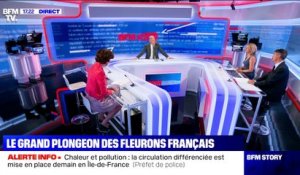 Story 2: Le grand plongeon de nos fleurons français - 30/07