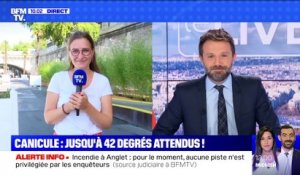 Canicule: jusqu'à 42 degrés attendus (3) - 31/07