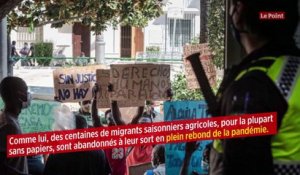 Espagne: en pleine pandémie, des migrants saisonniers abandonnés à leur sort