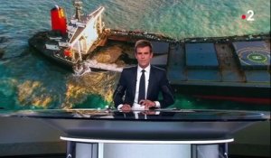 Marée noire à l'île Maurice : le bateau échoué se scinde en deux