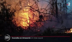 Incendies en Amazonie : un triste record