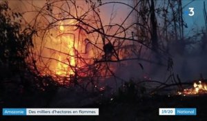 Brésil : les incendies se multiplient en Amazonie
