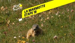 Tour de France 2020 : Étape 18 - La marmotte