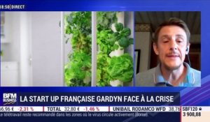 La start up française Gardyn face à la crise - 18/08