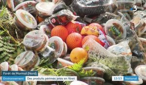 Hauts-de-France : des centaines de produits périmés jetés en forêt