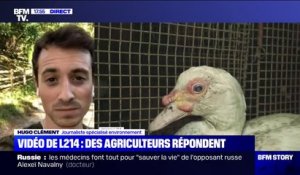 Hugo Clément: "Il est temps que la France avance sur les pratiques cruelles qui sont infligées aux animaux"