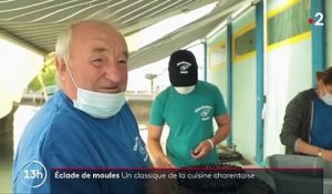 Charente : l'incontournable éclade de moules