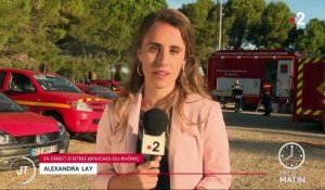 Bouches-du-Rhône : près de 500 hectares de végétation ravagés par un vaste incendie