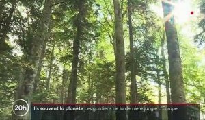 Perucica : les gardiens de la dernière jungle d'Europe