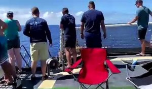 Des garde-côtes américains tirent sur un requin qui menaçait les membres de l’équipe qui nageait dans l’eau