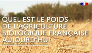 Animation : Quel avenir pour l'agriculture biologique en France ?