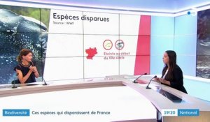 Environnement : le bilan alarmant de la WWF