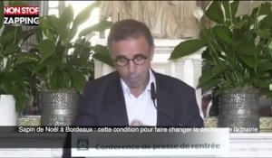 Sapin de Noël à Bordeaux : cette condition pour faire changer la décision de la mairie (vidéo)