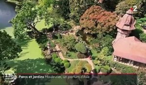Maine-et-Loire : à la découverte du parc japonais de Maulevrier