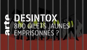 800 Gilets jaunes emprisonnés ? | 21/09/2020 | Désintox | ARTE