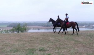 VIDEO. Loir-et-Cher : les gendarmes patrouillent avec les chevaux du Domaine des Frileuses