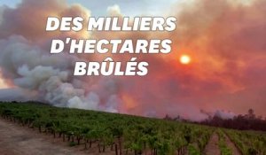 Les célèbres vignobles de la Napa Valley en Californie ravagés par les flammes