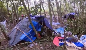 France : un important camp de migrants démantelé près de Calais