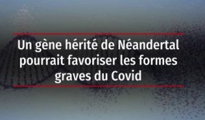 Un gène hérité de Néandertal pourrait favoriser les formes graves du Covid