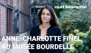 Nuit Blanche 2020, Installations vidéo - Anne-Charlotte Finel