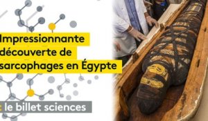 Egypte : la découverte d'une soixantaine de sarcophages parfaitement conservés tombe à pic pour le futur musée égyptien