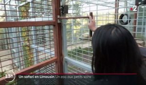 Limousin : un zoo qui bichonne les animaux