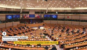 Le Parlement européen vote une réduction des gaz à effet de serre de 60%