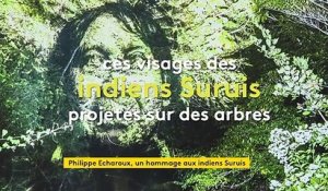 Les Indiens de Philippe Echaroux projetés sur les arbres du musée du Quai Branly