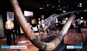 Le squelette de l'allosaure Big Sara fait grimper les enchères à Paris