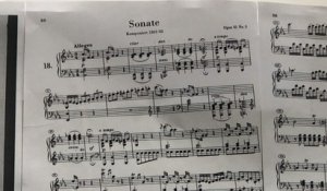 Comment Beethoven est devenu sourd: démonstration avec un simulateur